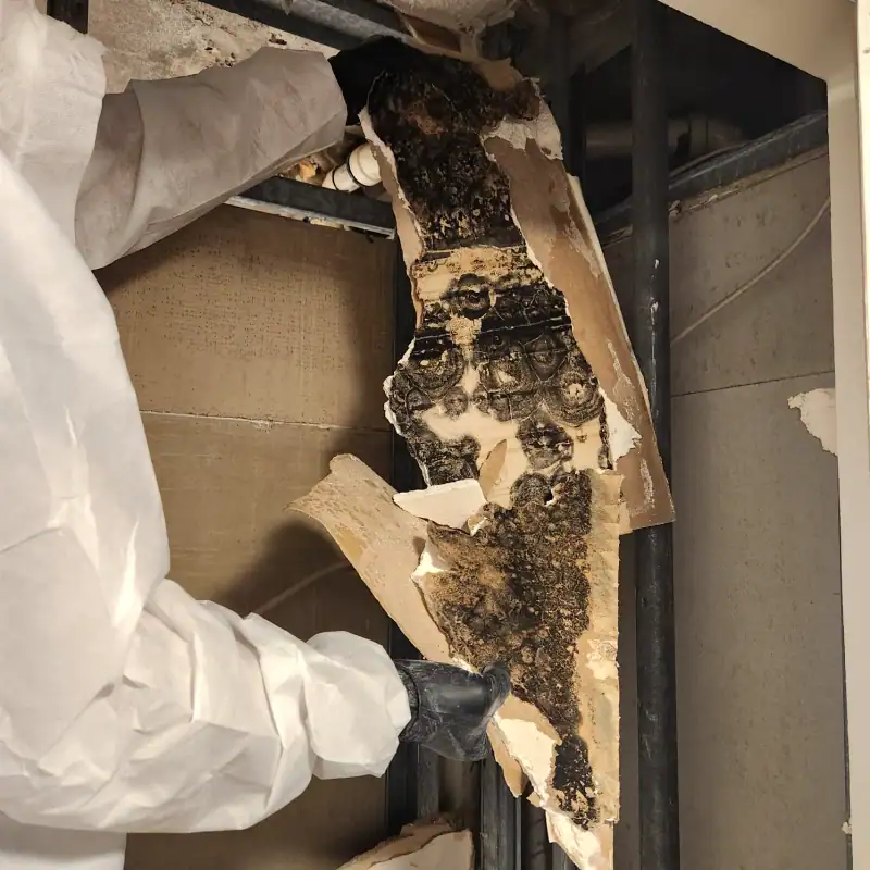 24/7 Service Pros technicians working on water damage restoration in Bay Harbor Islands, FL