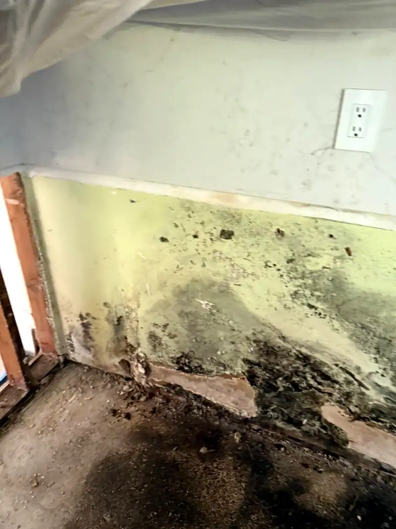 24/7 Service Pros water damage inspection and restoration in Dania Beach, FL