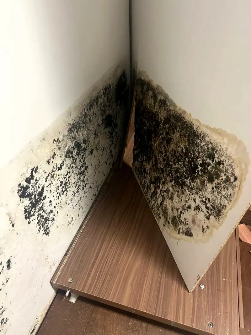 24/7 Service Pros water damage inspection and restoration in Hialeah, FL