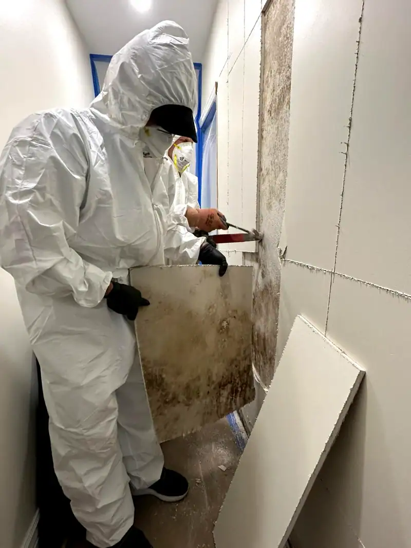 24/7 Service Pros water damage inspection and restoration in Homestead, FL