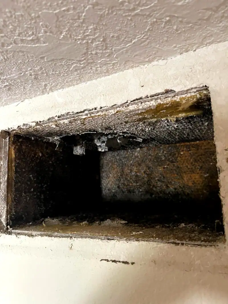 24/7 Service Pros technicians working on water damage restoration in Sunny Isles Beach, FL