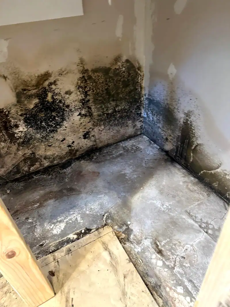 24/7 Service Pros technicians working on water damage restoration in Sunrise, FL