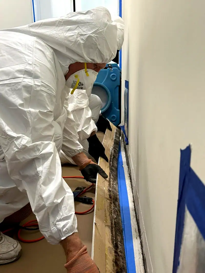 24/7 Service Pros water damage inspection and restoration in Wellington, FL