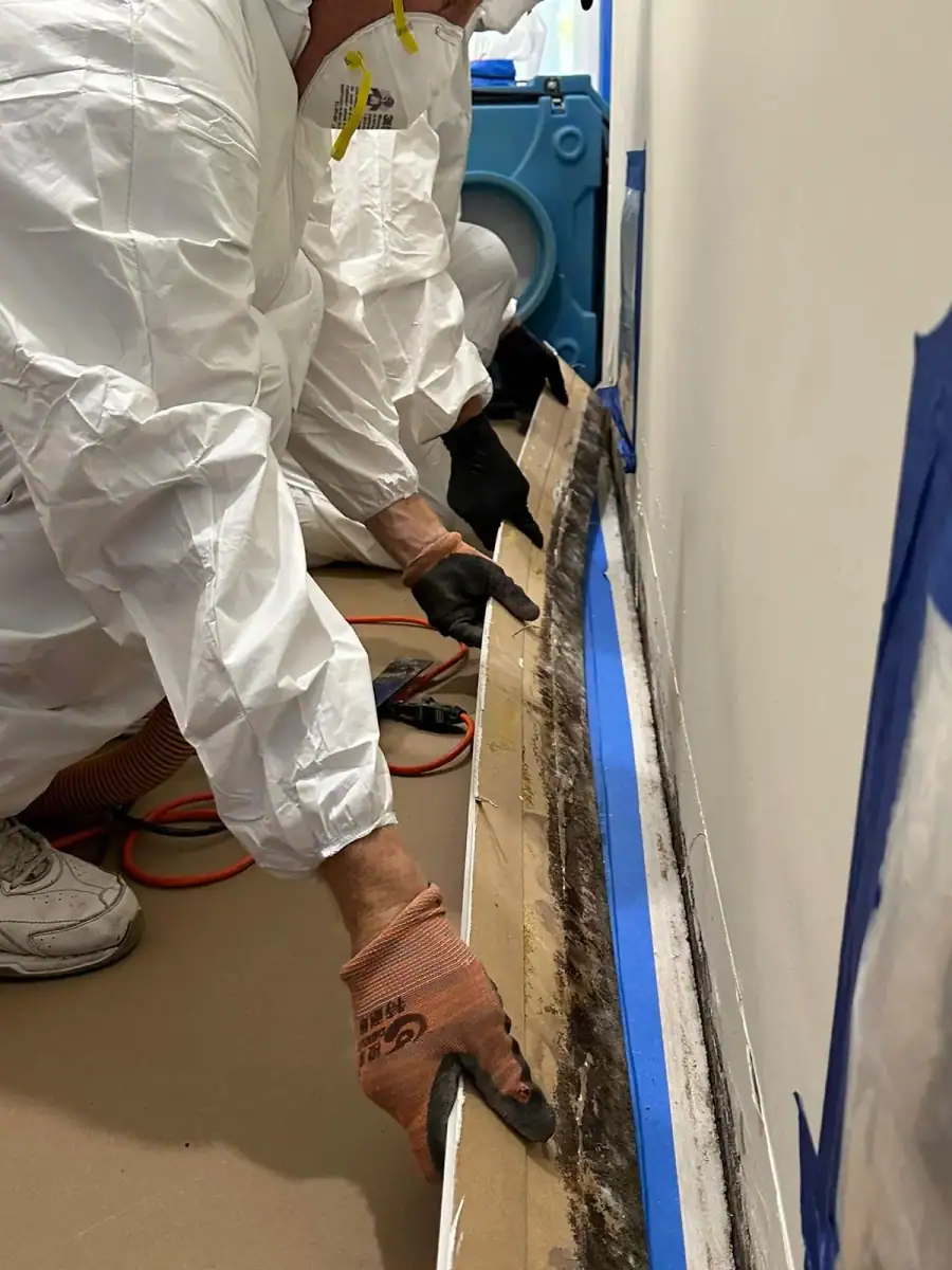 Mold remediation inspection, containment, and documentation process
