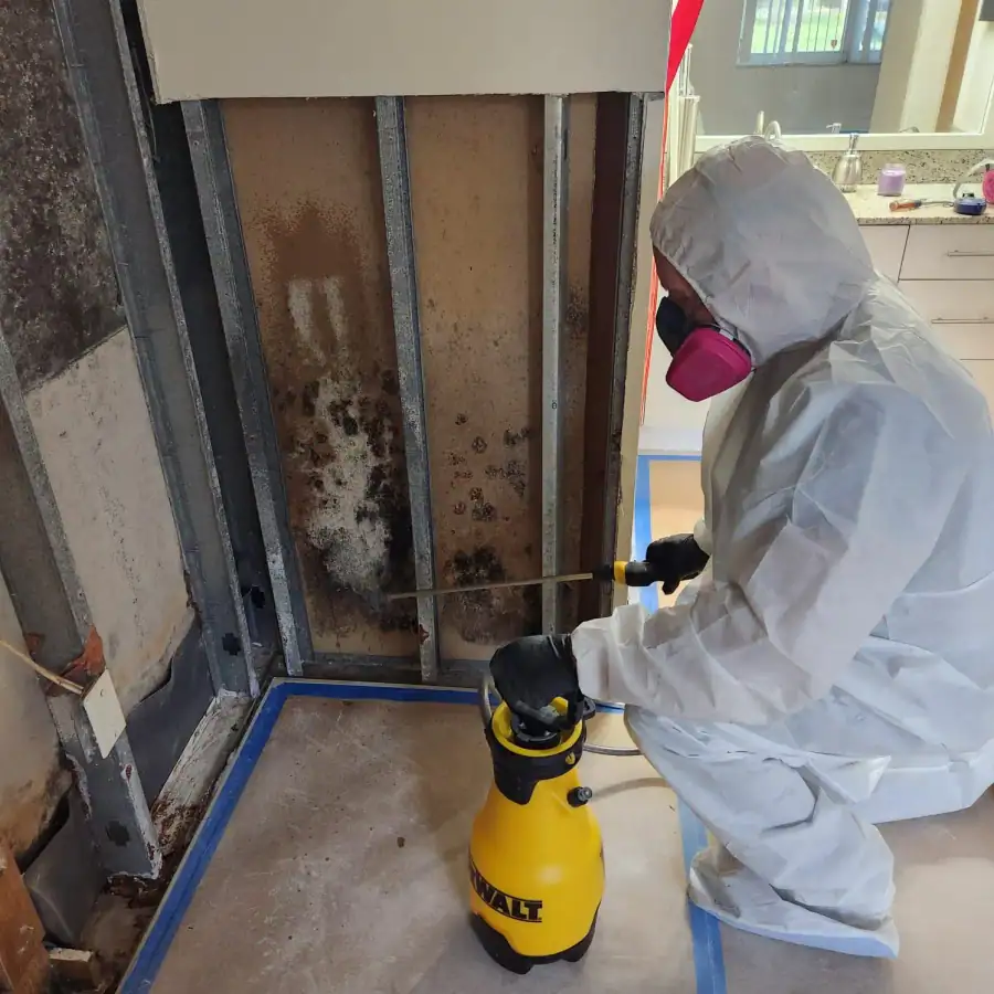 24/7 Service Pros mold remediation and inspection team in South Florida